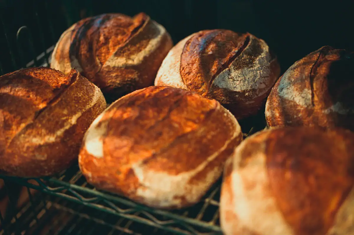 Golden loaves fresh from the oven